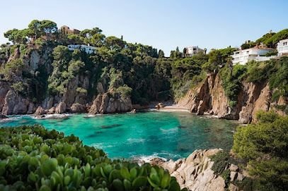Cala Sa Forcanera