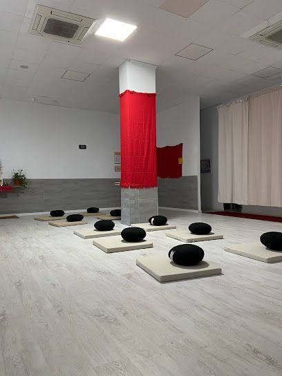 Ashtanga Yoga Denia, ( mysore). Yoga - Mindfulness.